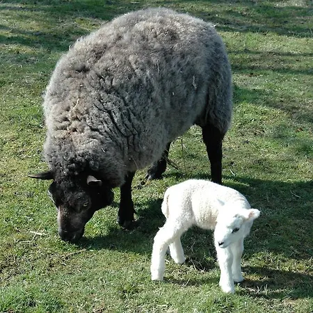 Bed & Breakfast Isola Bella De Westen